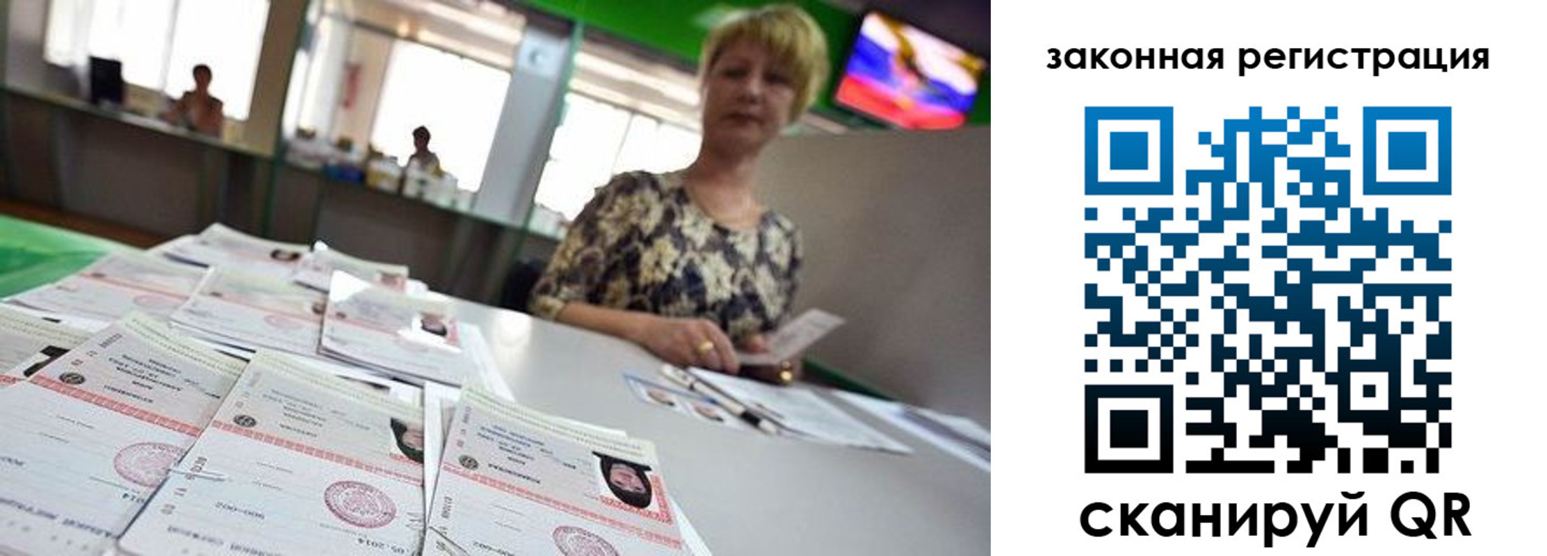 прописка поиск в Ногинске